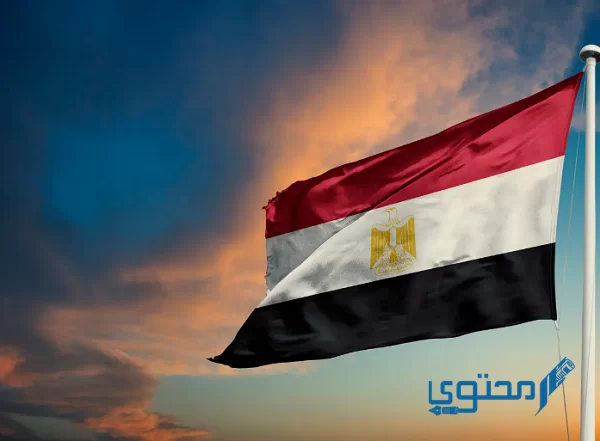 رمز وكود مفتاح مصر الدولي للموبايل والتليفون
