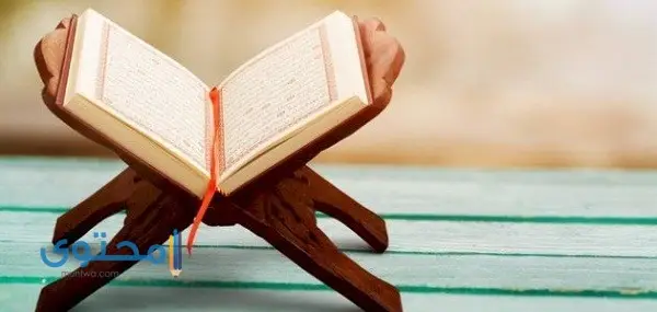 آيات قرآنية تساعد على الحفظ وعدم النسيان