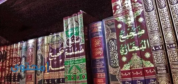 آيات قرآنية عن الصحة النفسية وتساعد على تخفيف الضغط النفسي