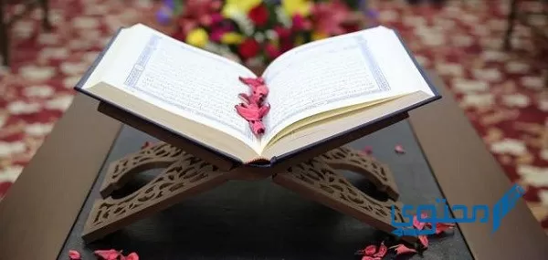 أجمل آية في القرآن مكتوبة