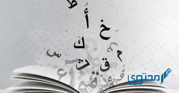 اسم التفضيل من كلمة الكرم هي 1 اسم التفضيل من كلمة الكرم هي