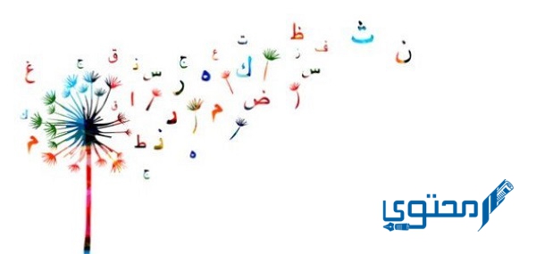 أسماء الإشارة جميعها مبنية صح أم خطأ 1 أسماء الإشارة جميعها مبنية