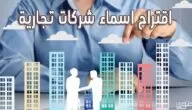 اقتراح 40 من اسماء شركات تجارية جذابة 2024