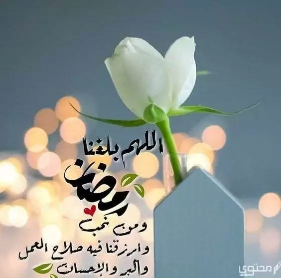 الرد على اللهم بلغنا رمضان