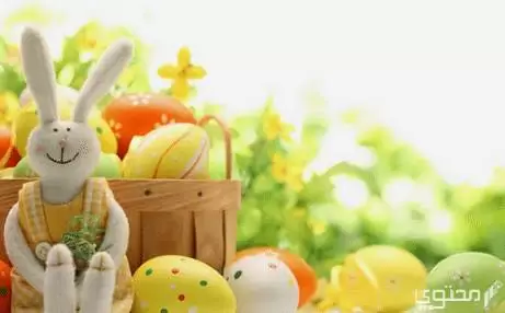 شم النسيم 2023 كام رمضان