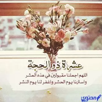 بوستات عن العشر الأوائل من ذي الحجة