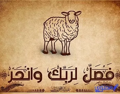 ما هي أسعار أضاحي العيد في دبي؟ 