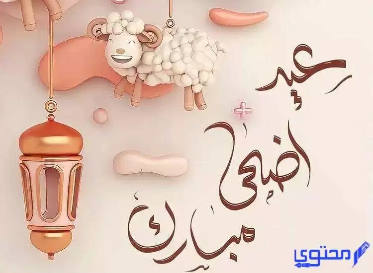 ما هي أسعار أضاحي العيد في دبي 