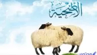 أسعار أضاحي العيد في دبي هذا العام 2024