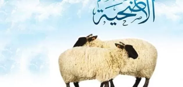 ما هي أسعار أضاحي العيد في دبي