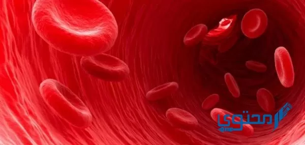 ما هي وظائف الدم الرئيسية