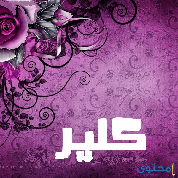 معنى اسم كلير