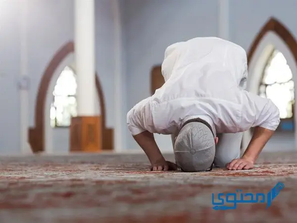 متى يصلون التهجد في رمضان