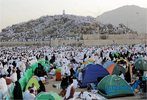 عبارات جميلة عن يوم عرفة