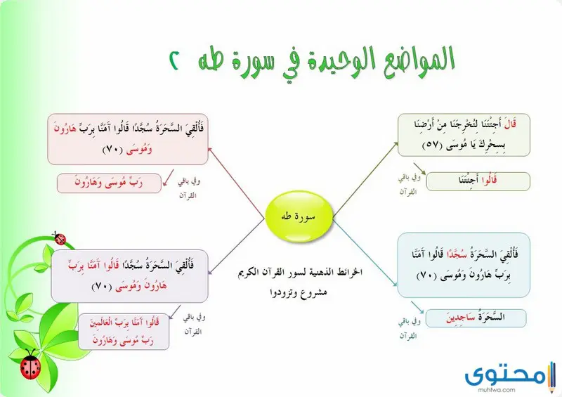 فضائل تلاوة سورة طه