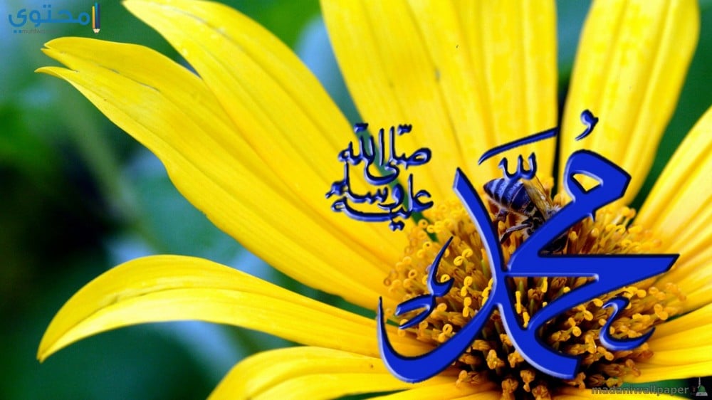 تاريخ المولد النبوي الشريف 2017 في السعودية 