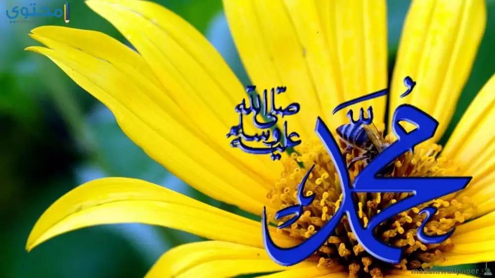 تاريخ المولد النبوي الشريف 2017 في السعودية 