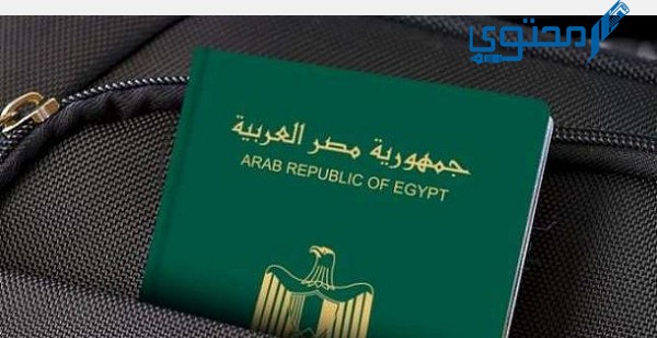 استخراج جواز سفر أونلاين في مصر 