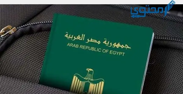 استخراج جواز سفر أونلاين في مصر 