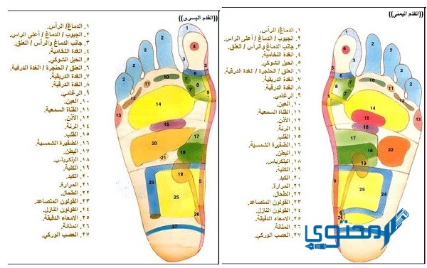خريطة القدم