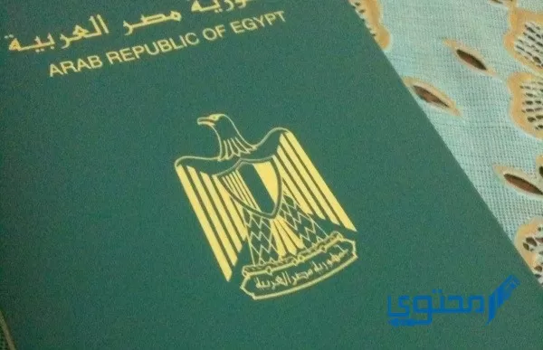 Consulta sobre o pasaporte co número de recibo na Embaixada de Exipto egyconskwt