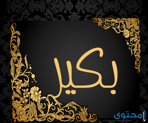 تعرف على معنى اسم بكير بالتفصيل موقع محتوى