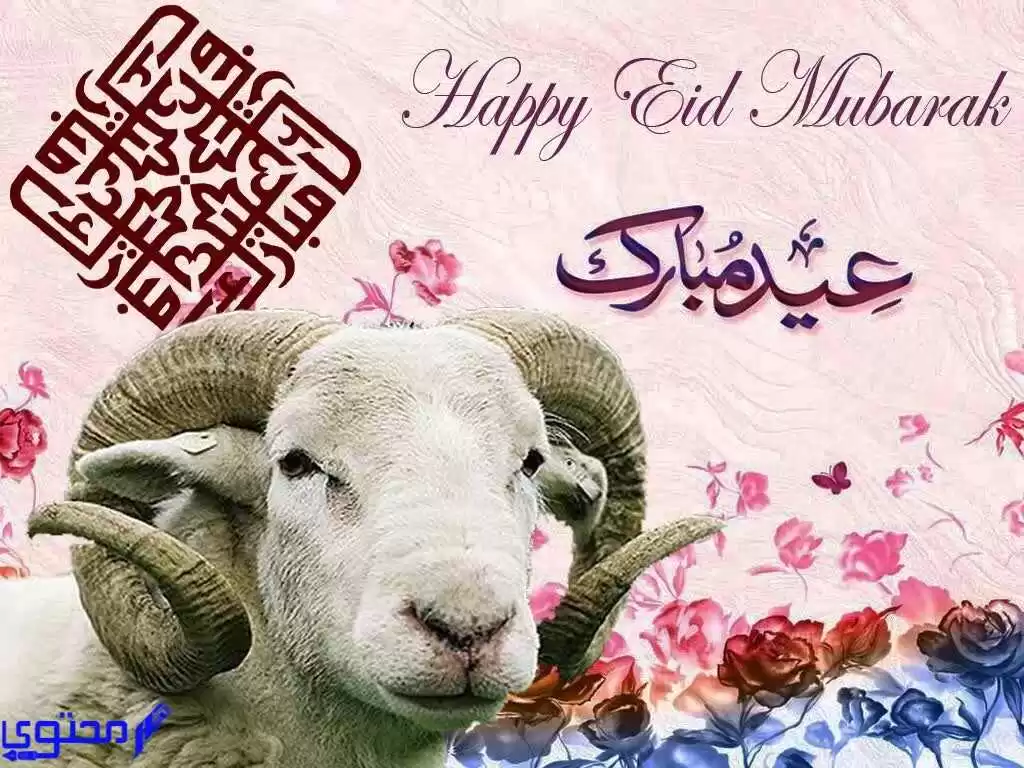 كل سنة وأنتم طيبين عيد اضحى سعيد