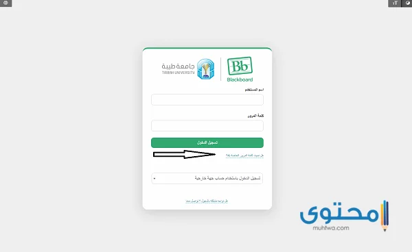 التعلم عن بعد من جامعة طيبة