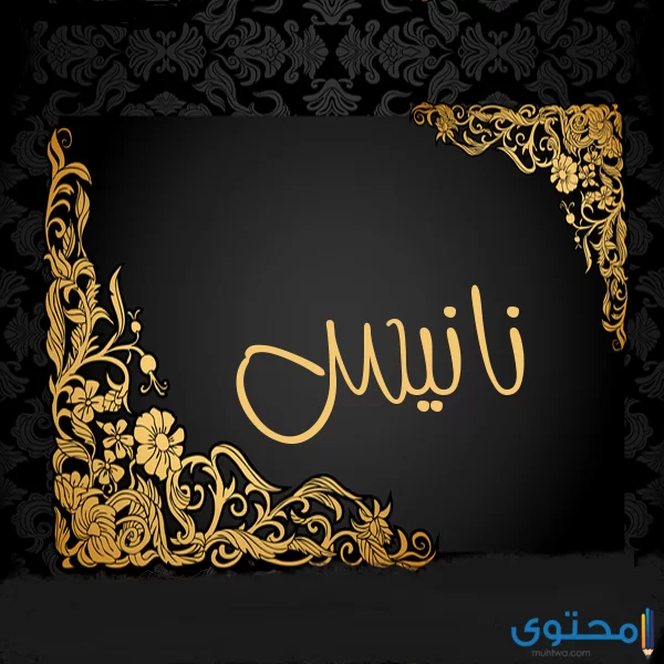 معنى اسم نانيس