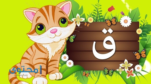 أفعال تبدأ بحرف القاف مع الشرح 1 أفعال تبدأ بحرف القاف