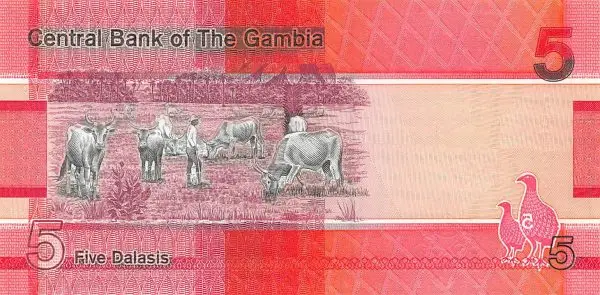 عملة دولة غامبيا