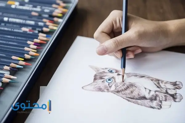 تعلم الرسم من الصفر للمبتدئين