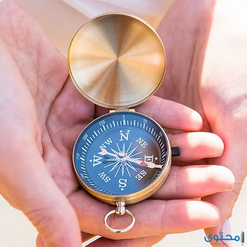 9463 55a i adventurers compass favors40cb334318c9c82c42348fb33064da89