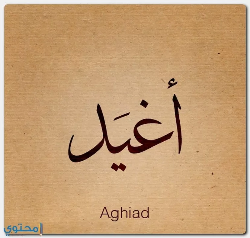 معنى اسم Aghiad
