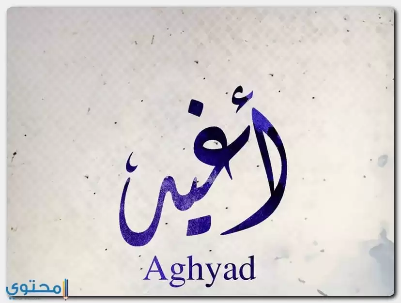 معنى اسم Aghyad