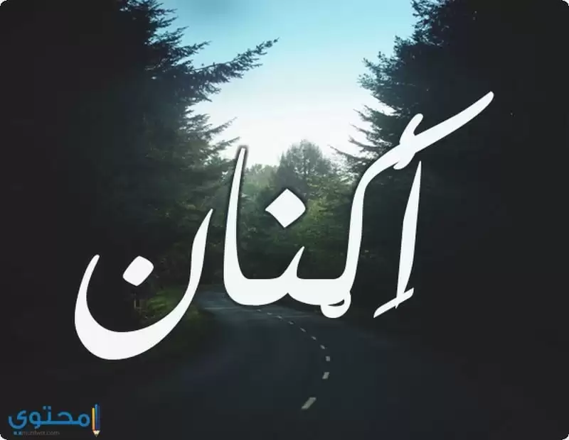 Aknan06
