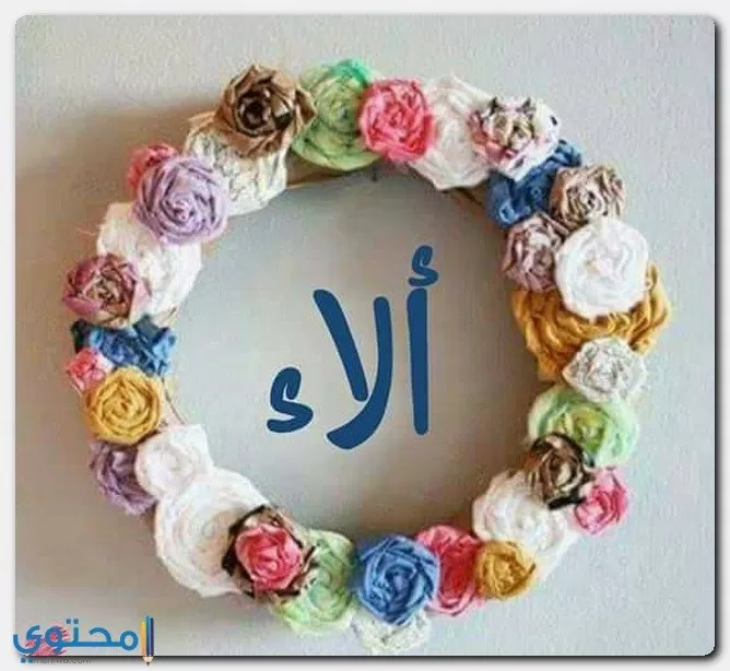 Alaa3