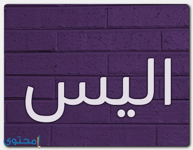 اسم أليس