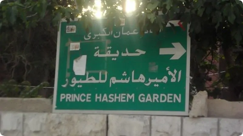 Amman14
