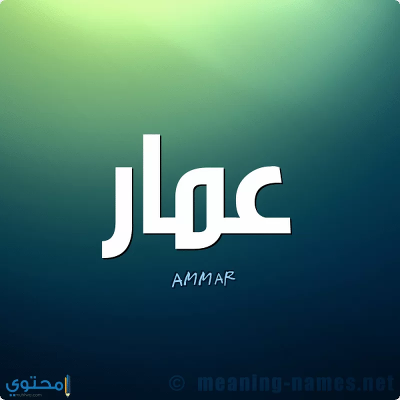 معنى اسم عمار