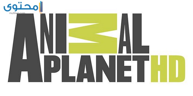 تردد قناة كوكب الحيوانات 2023 Animal Planet الجديد
