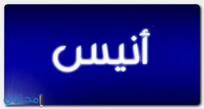 Anis2