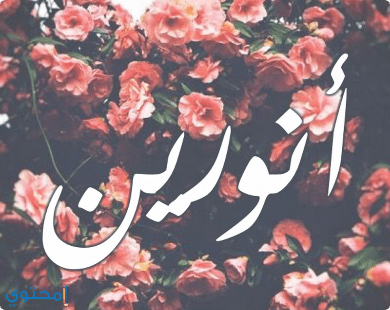 اسم أنورين