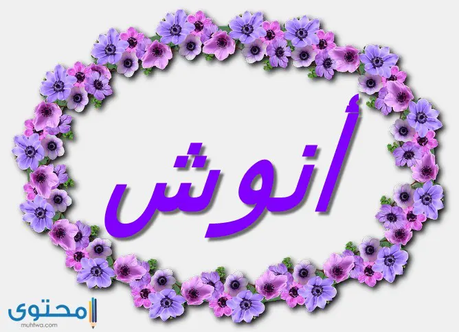 Anosh4