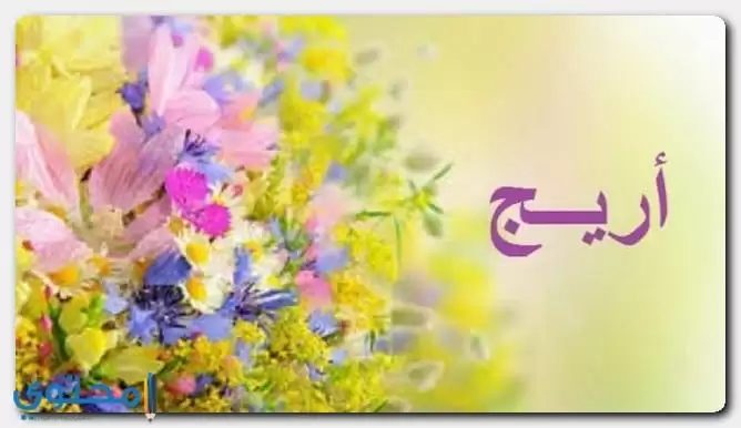 معنى اسم اريج