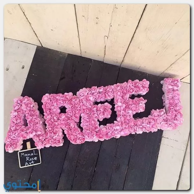 كتابة اسم Areej بالعربية