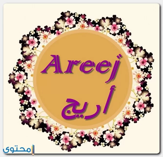 دلع اسم أريج