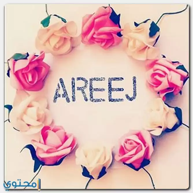 اجدد صور اسم Areej 