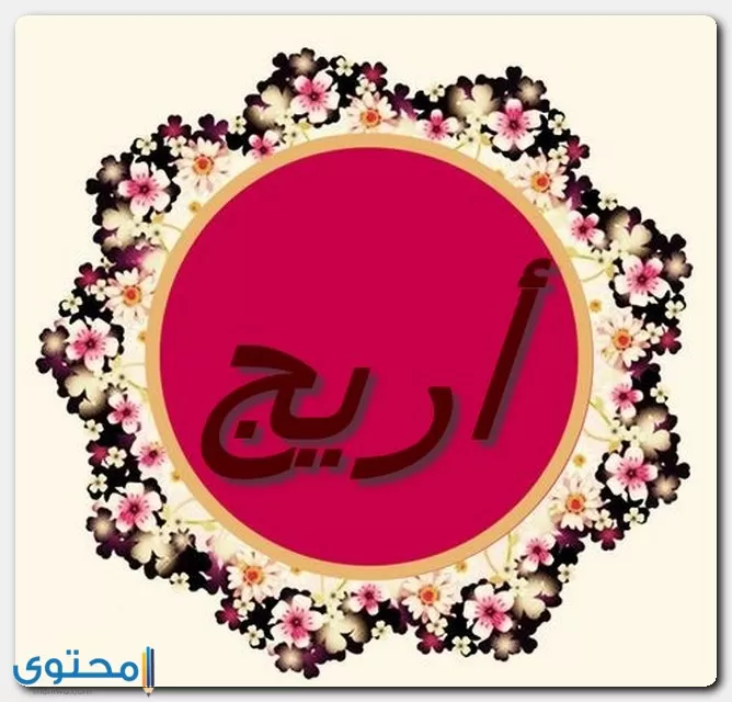 Areej3