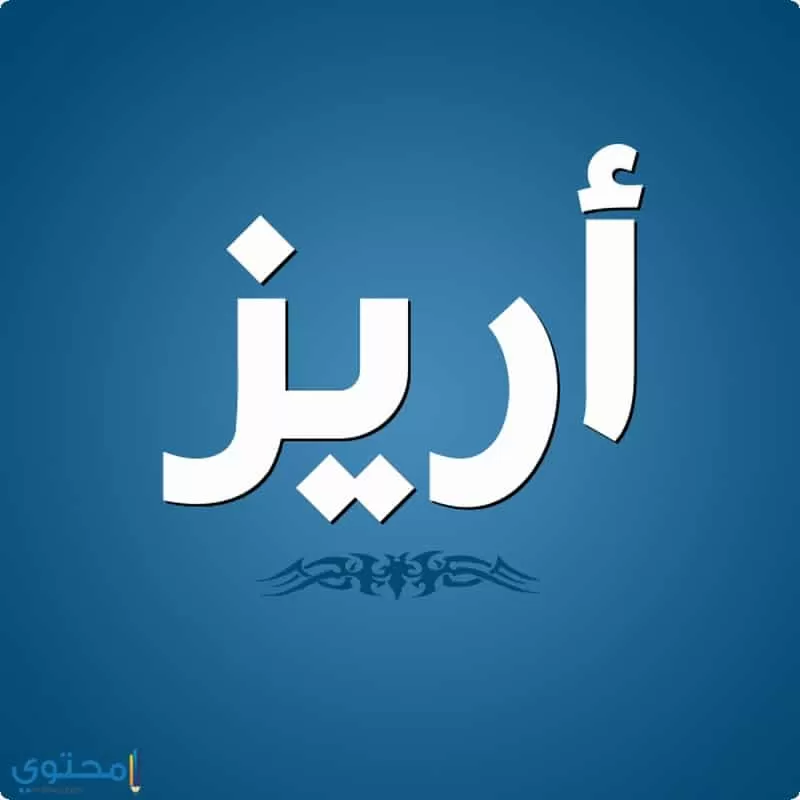 معنى اسم أريز